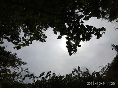 -徐家汇源景区-衡山公园