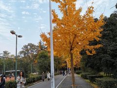 -四川大学(望江校区)