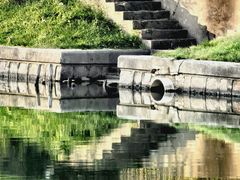 -嘉定紫藤园