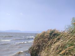 -捞渔河湿地公园