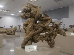 -岳阳市博物馆