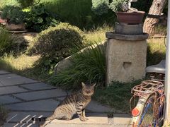 -龙大花卉苗木市场