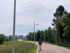 -白鹭湾湿地公园