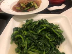 清炒高山豆苗-新南华大酒店(长寿店)