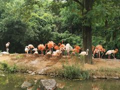 -上海野生动物园