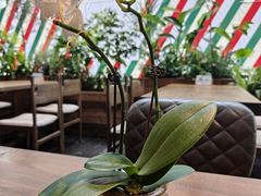 -翡翠鸟精品泰国菜(北辰财富中心店)