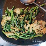 不知道为啥～春日去玩吧 #0元玩转这座城