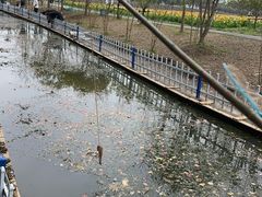 -上海杨姆庄园