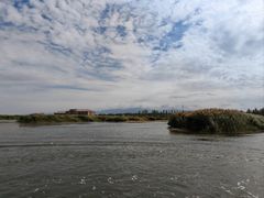 -乌梁素海景区