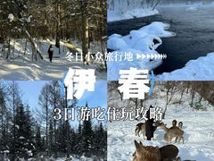 -五营国家森林公园
