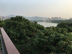 -立新湖公园