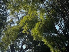 -成都杜甫草堂博物馆