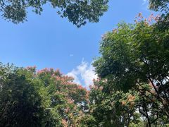 -石湖景区