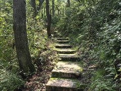 -玉渡山自然风景区