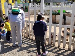 -前小桔亲子创意农场·草莓采摘·露营烧烤