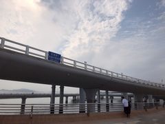 -演武大桥观景平台