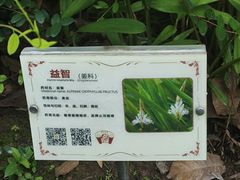 -广州神农草堂中医药博物馆