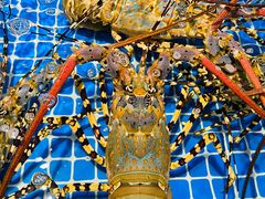 -三亚火车头万人海鲜广场