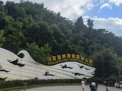 -西双版纳原始森林公园