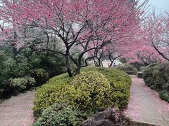 -杭州半山国家森林公园