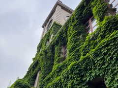 -半岛1919创意园区