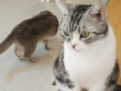 -小小班私人影院·猫咖(万达茂广场店)