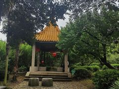 -雨花胜境
