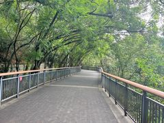 -金鸡山公园