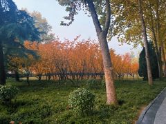 -达活泉公园