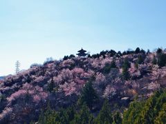 -白水寺森林公园