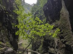 -阿依河景区