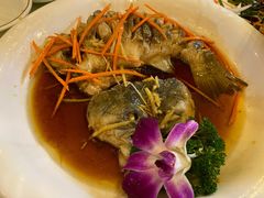 清蒸鲈鱼-鹤乡东北菜(崮山路店)