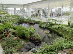 -罗红摄影艺术馆