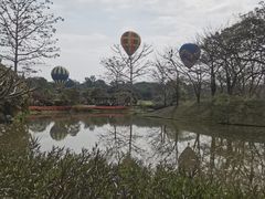 -中国科学院西双版纳热带植物园