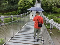 -东莞植物园
