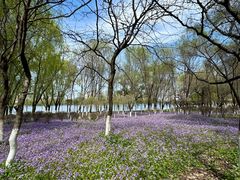 -长白岛森林公园