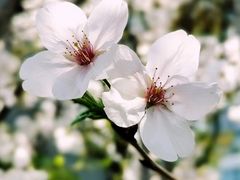 -苏州河梦清园环保主题公园