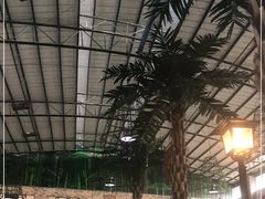 -石岐乳鸽村(南海第三分店)