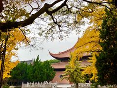 -苏州文庙(姑苏区)
