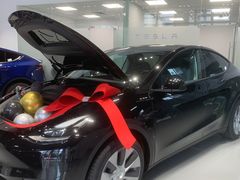 -TESLA 特斯拉(深圳观澜特斯拉直营钣喷中心)