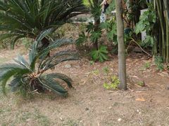 -咸宁万豪温泉谷度假区