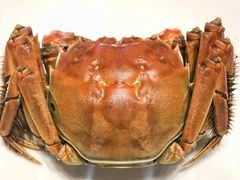 -上海虹桥宾馆味翠餐厅