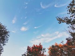 -山东师范大学(千佛山校区)