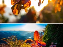 -潭溪山