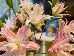 -德米火锅(深圳湾1号旗舰店)