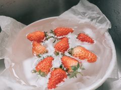 -尚田草莓姑娘白草莓采摘基地