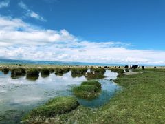 -青海湖国家重点风景名胜区