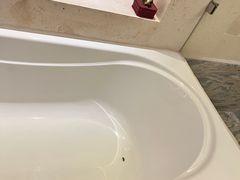 浴缸有虫-上海星河湾酒店(闵行店)