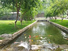 -春风习习