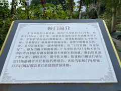 -广东中医药博物馆